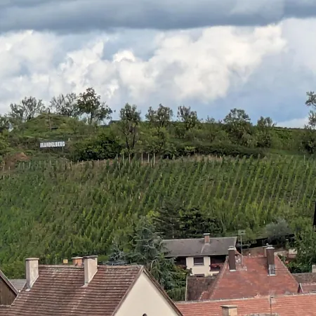 Les Toits De Proche Colmar, Ribeauville *