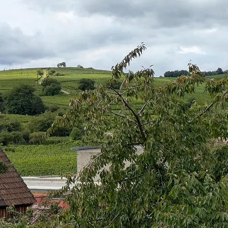 Les Toits De Proche Colmar, Ribeauville